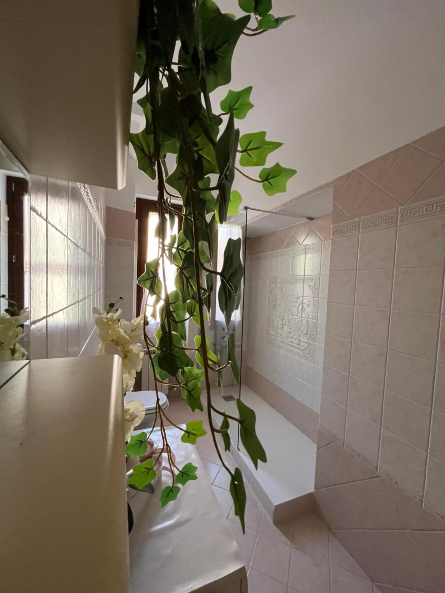 Alga Apartamento *